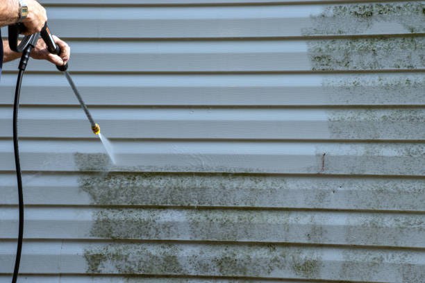 Best Brick Veneer Siding  in Strathmore, CA